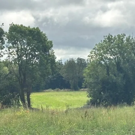 Views * Bective